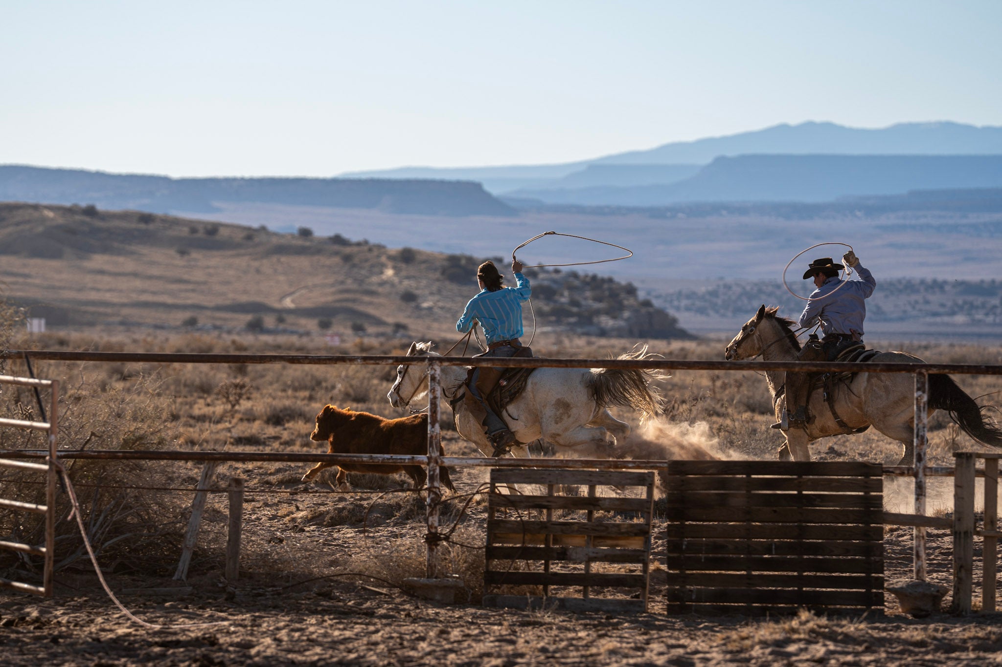 Reins Western Goods