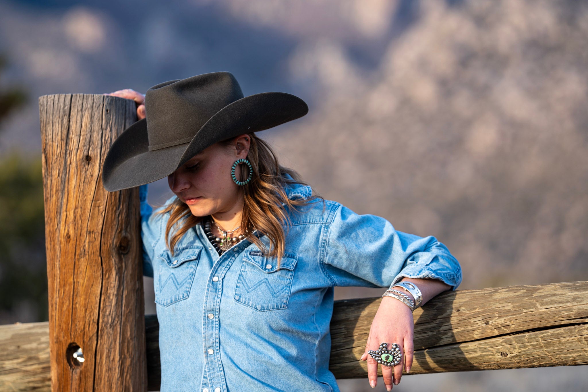 Reins Western Goods