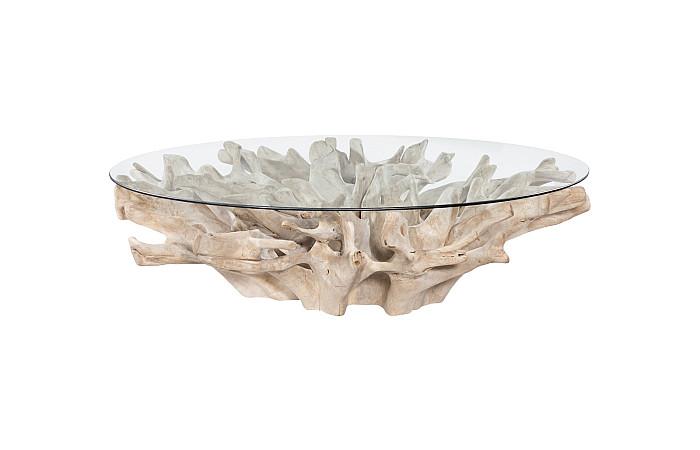 Teak Root Coffee Table