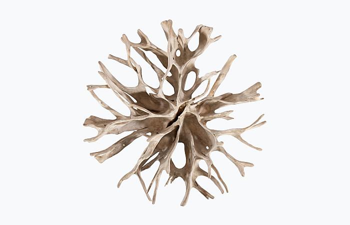 Teak Root Coffee Table